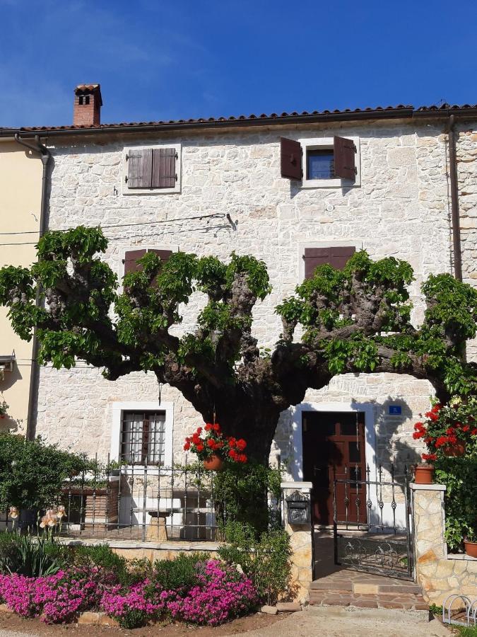 Casa Girasole Villa Buje Buitenkant foto